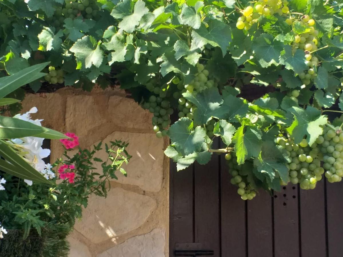 Lou Bagnou Mi-Clos Bagnols-sur-Cèze Exteriér fotografie